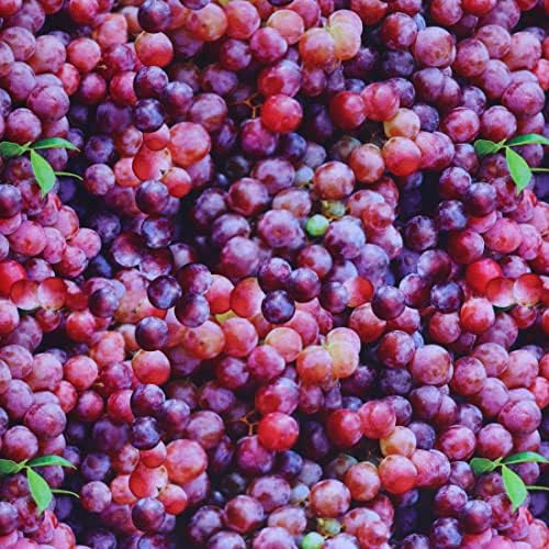 Памучни плодово-зеленчукови тъкан Mook, лилаво, 15 ярда