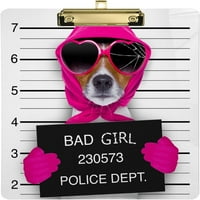Забавно лошо куче арестува клипборд Hardboard Wood Nursing Board и издърпайте за стандартно писмо
