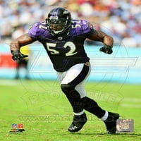 Ray Lewis Action Sports Photo